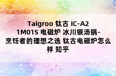 Taigroo 钛古 IC-A21M01S 电磁炉 冰川银汤锅-烹饪者的理想之选 钛古电磁炉怎么样 知乎